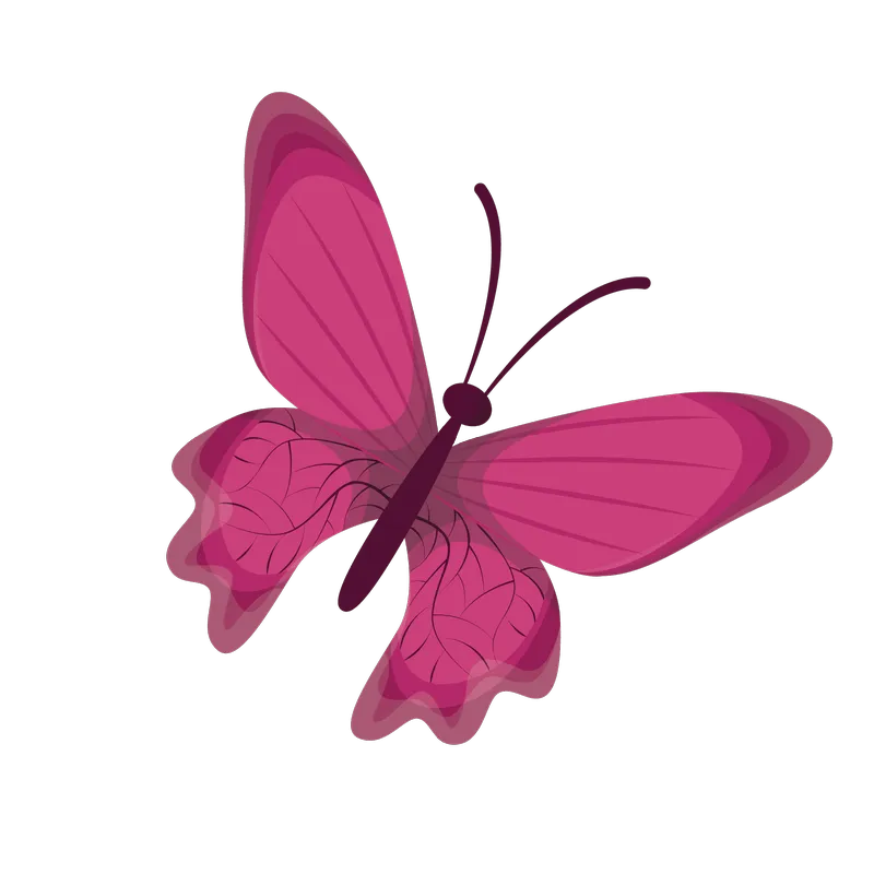 butterfly png, butterfly png