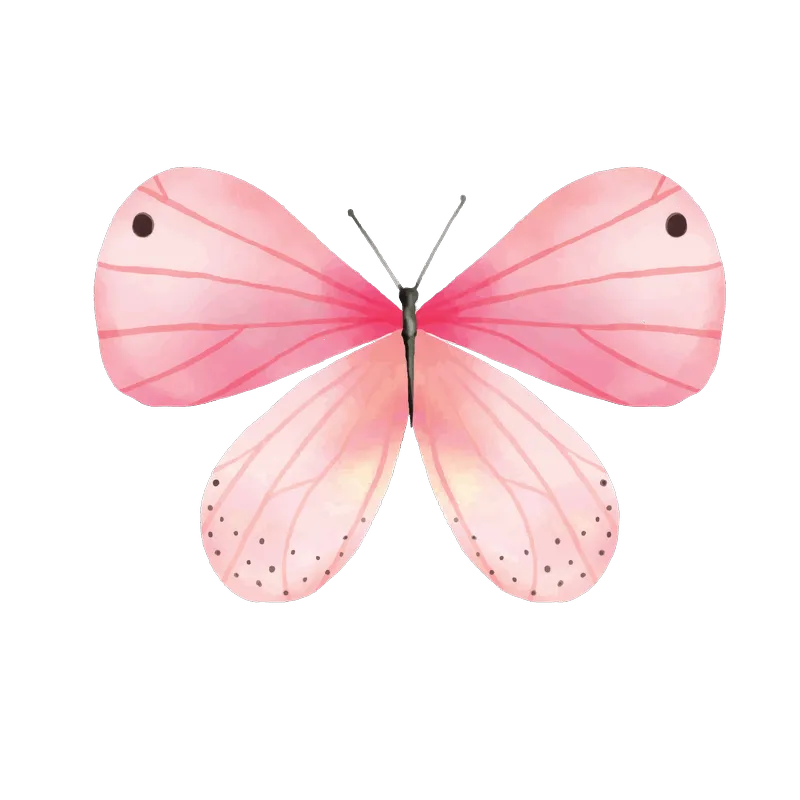butterfly png, butterfly png