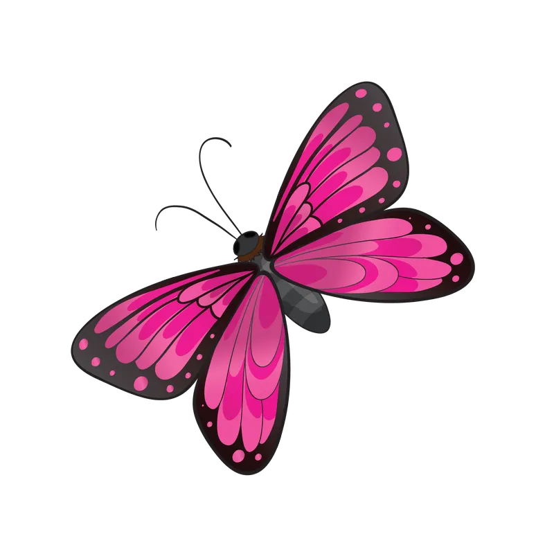butterfly png, butterfly png