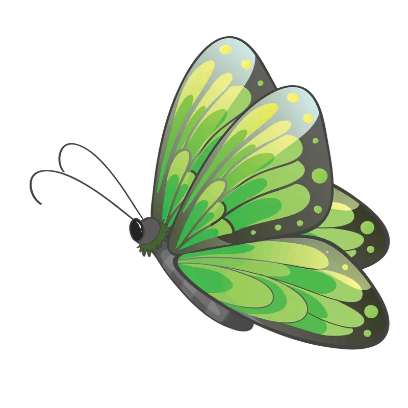 butterfly png, butterfly png