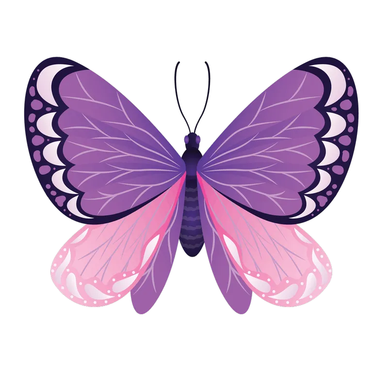 butterfly png, butterfly png