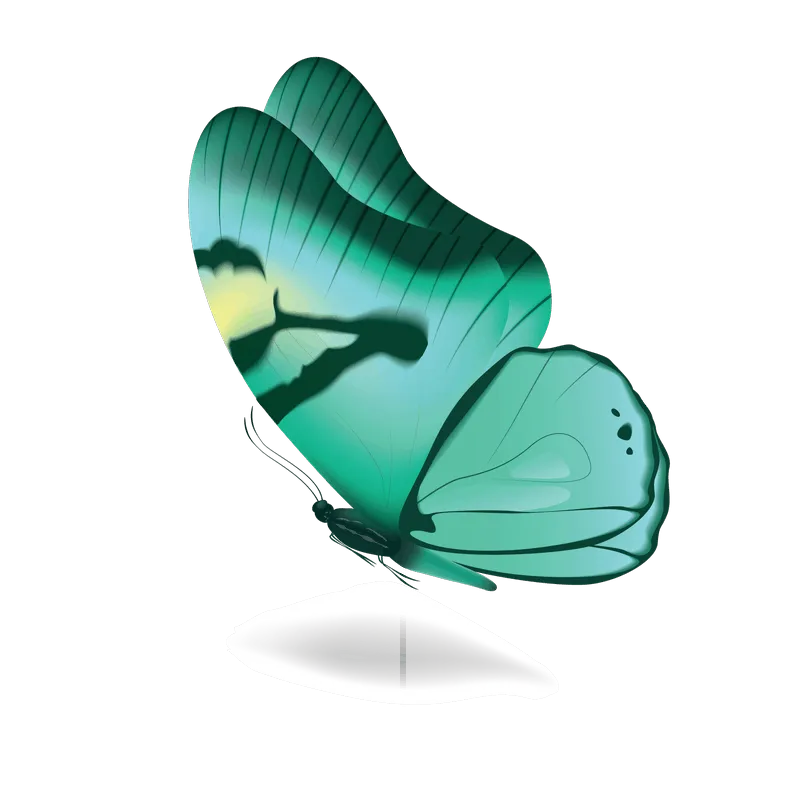 butterfly png, butterfly png