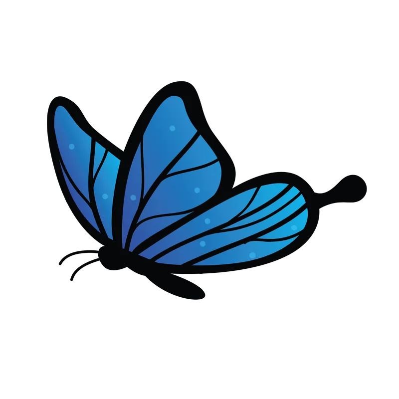 butterfly png, butterfly png