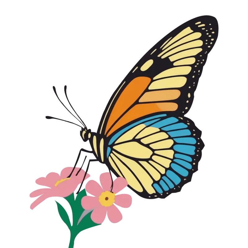 butterfly png, butterfly png
