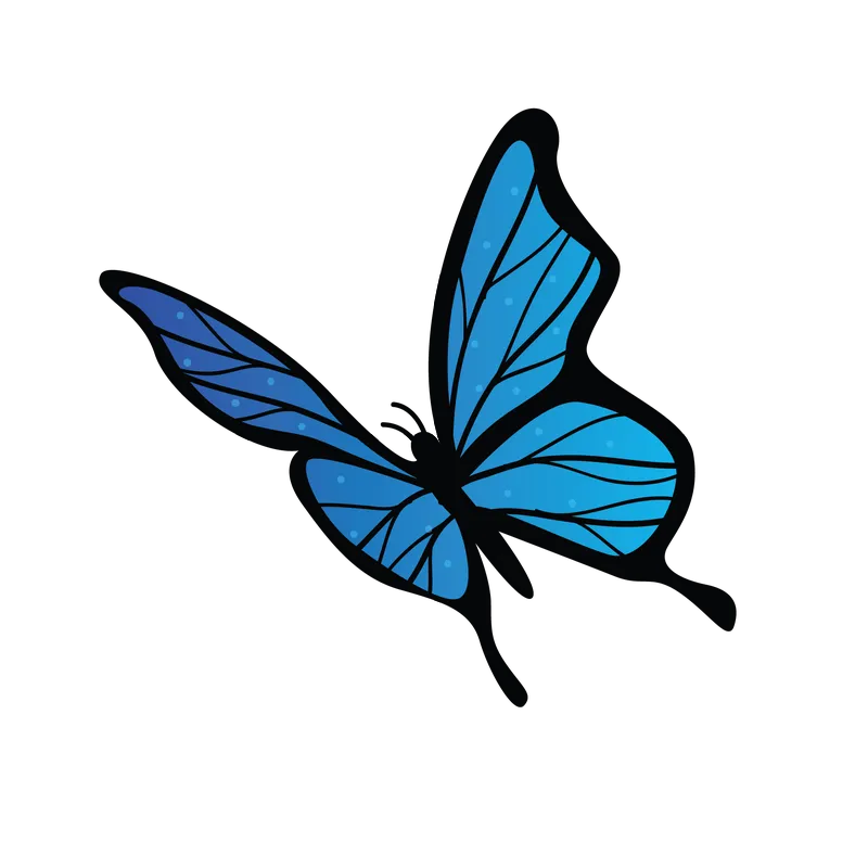 butterfly png, butterfly png