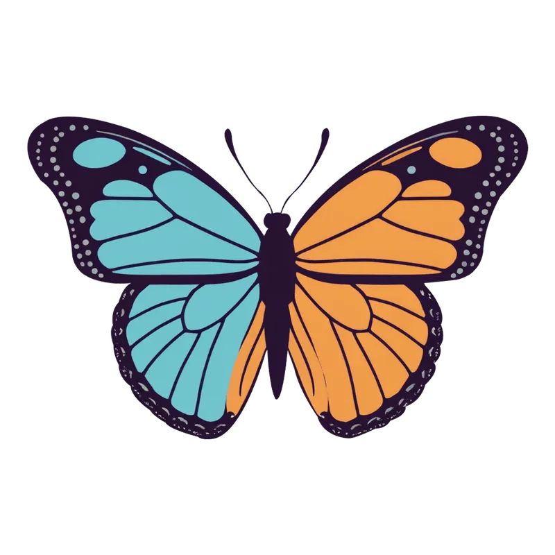 butterfly png, butterfly png