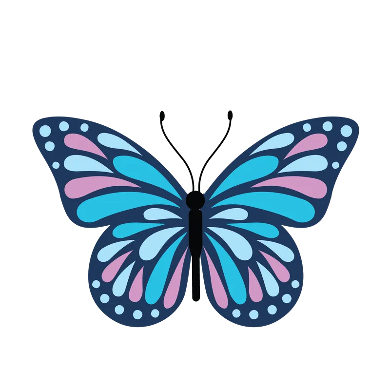 butterfly png, butterfly png