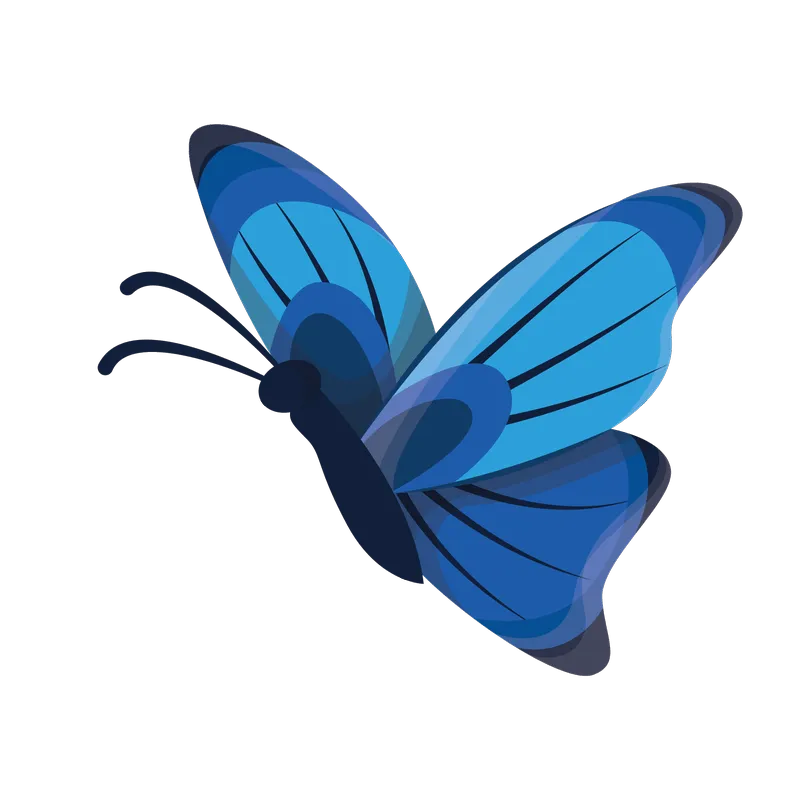 butterfly png, butterfly png