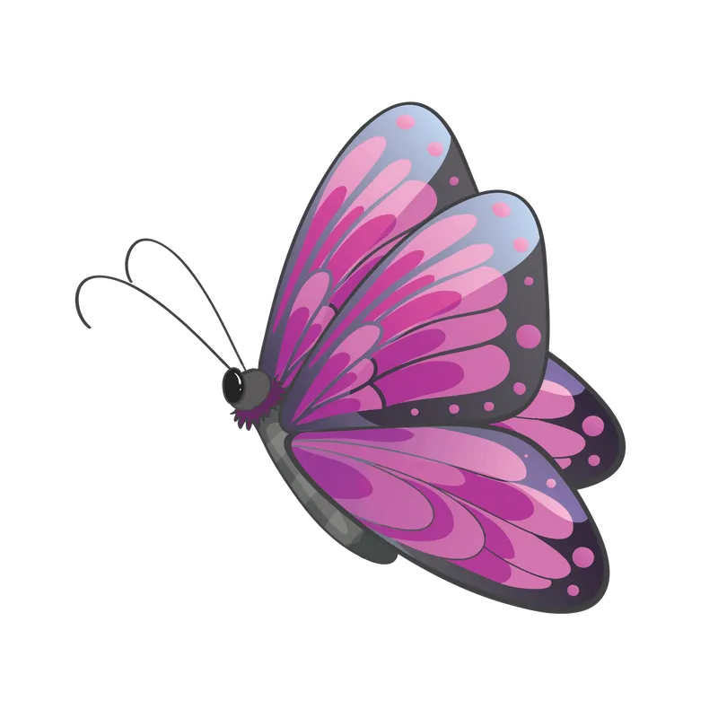 butterfly png, butterfly png