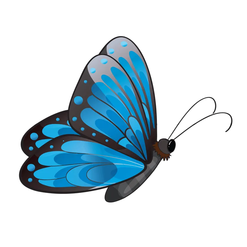 butterfly png, butterfly png