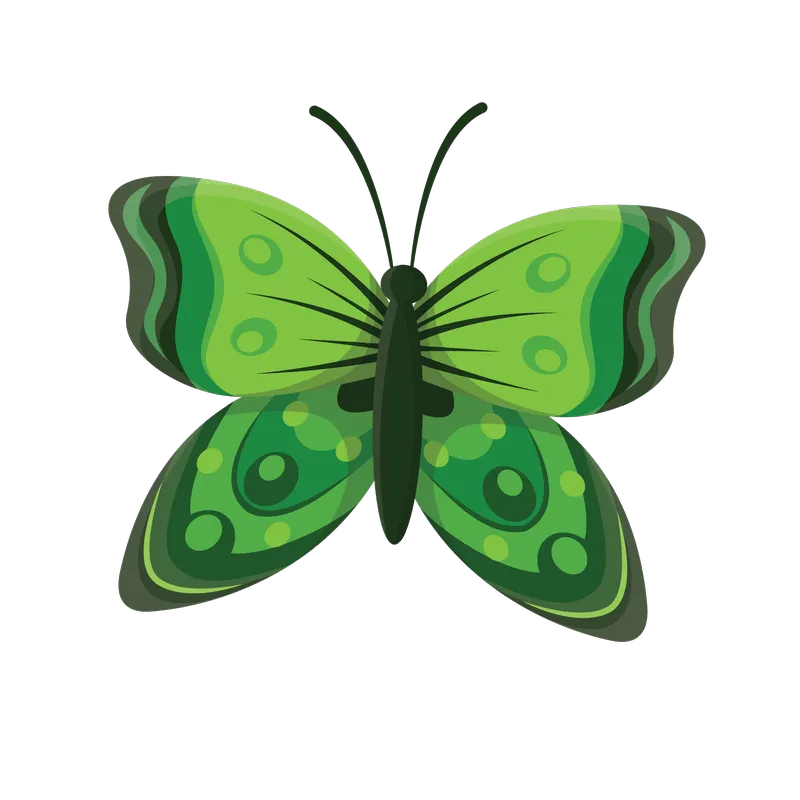 butterfly png, butterfly png
