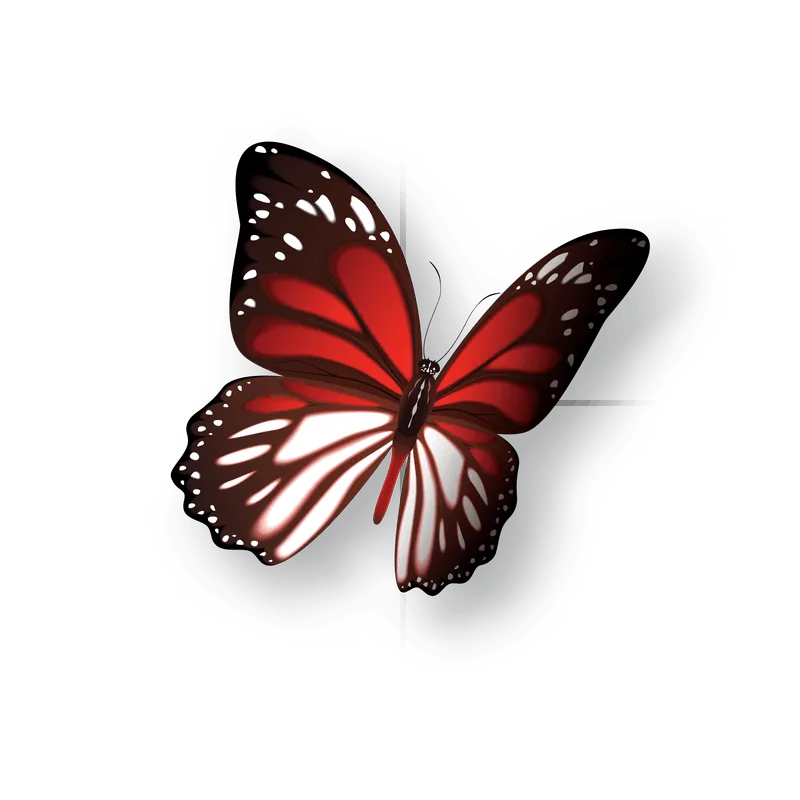 butterfly png, butterfly png
