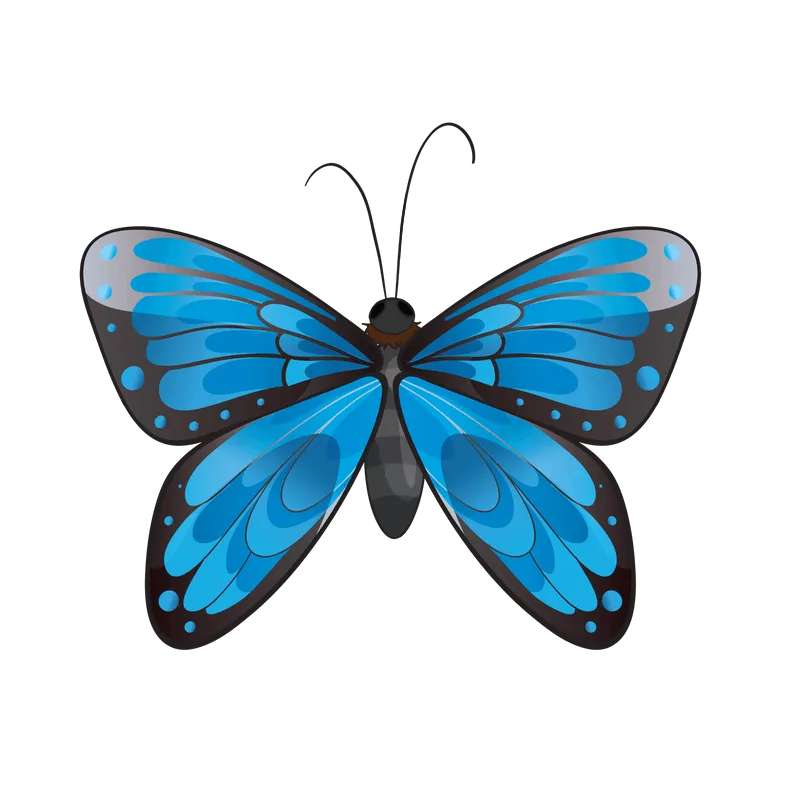 butterfly png, butterfly png