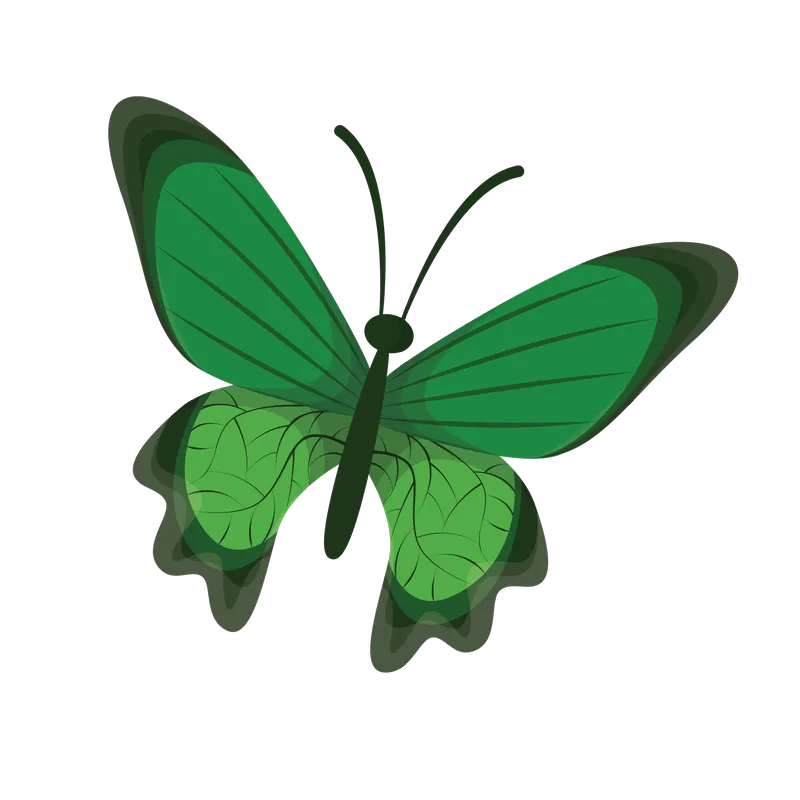 butterfly png, butterfly png