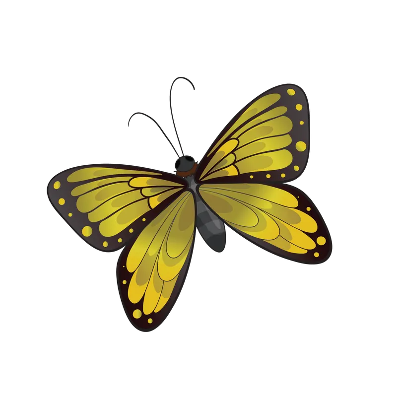 butterfly png, butterfly png