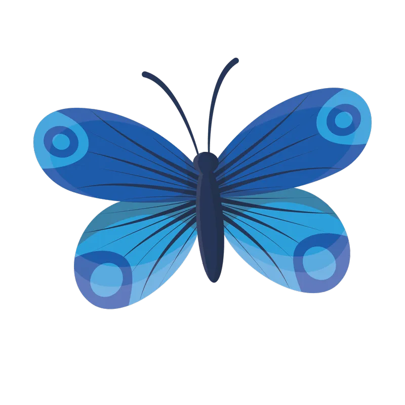 butterfly png, butterfly png