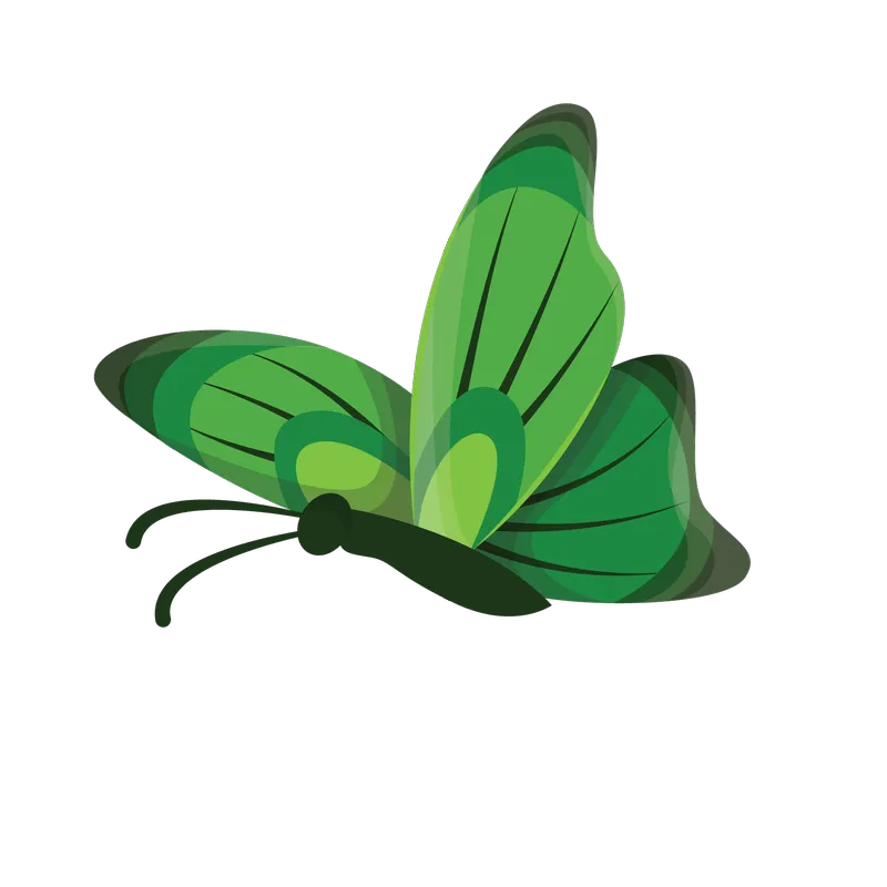 butterfly png, butterfly png