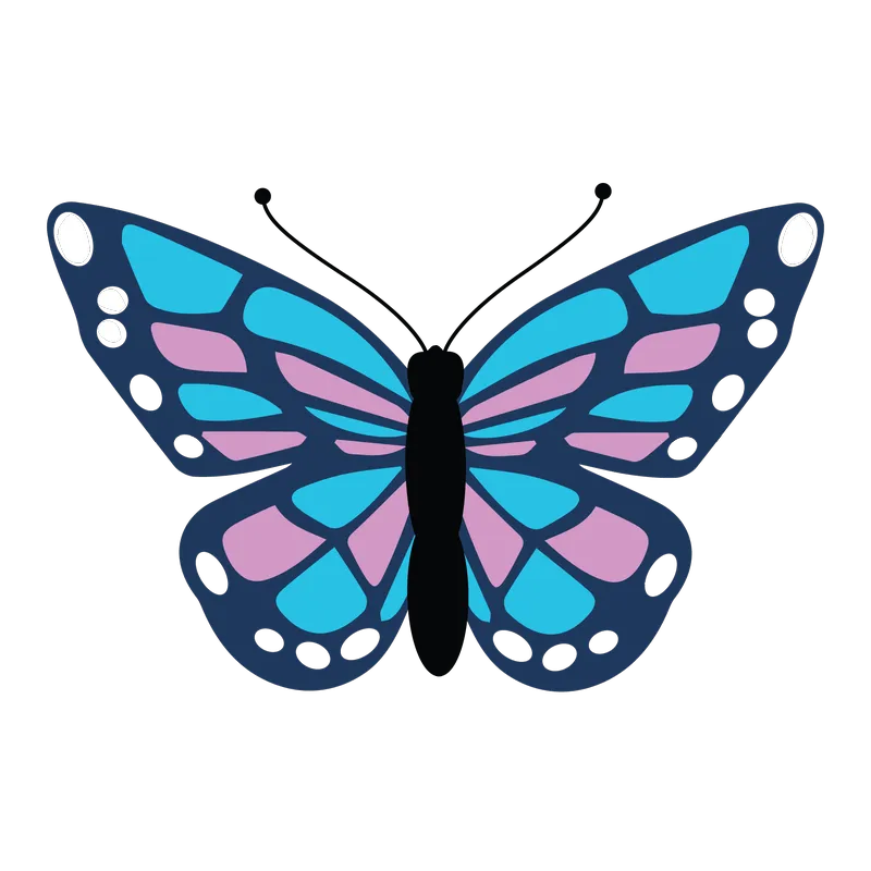 butterfly png, butterfly png