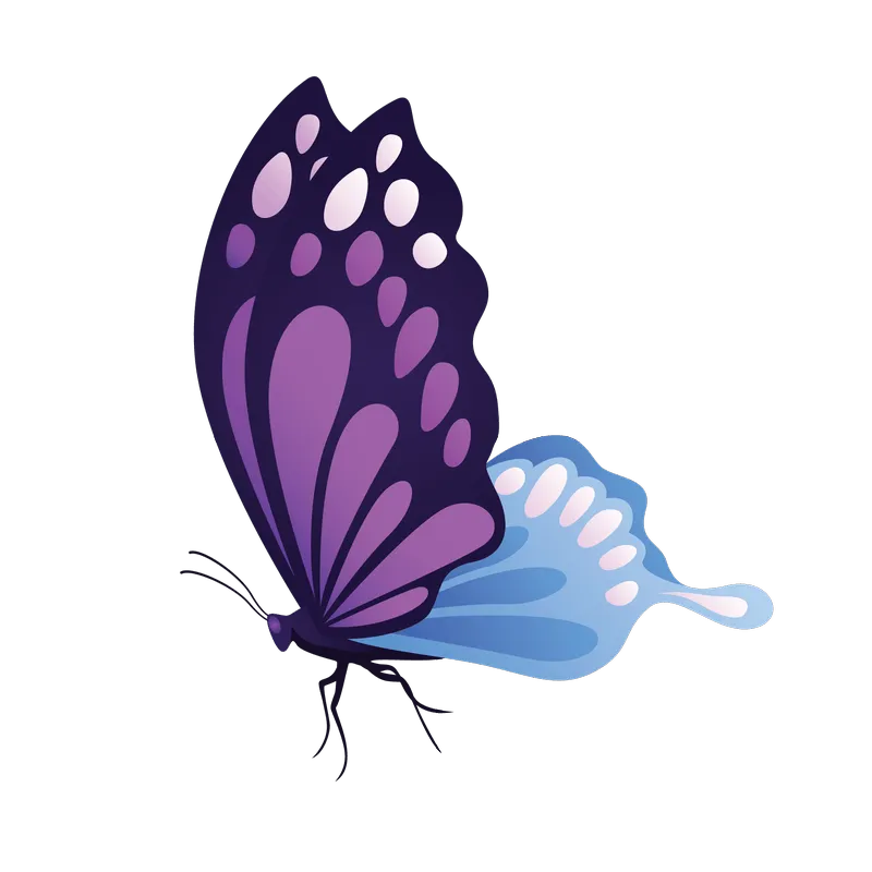 butterfly png, butterfly png