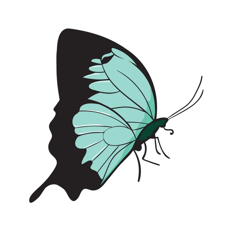 butterfly png, butterfly png