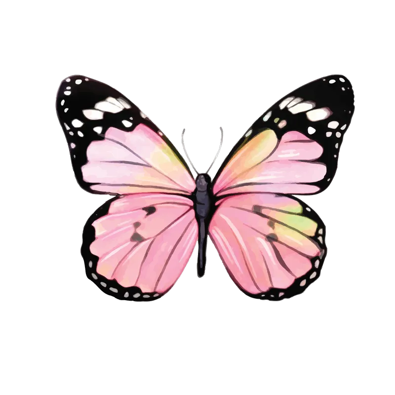 butterfly png, butterfly png
