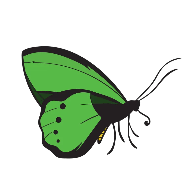 butterfly png, butterfly png