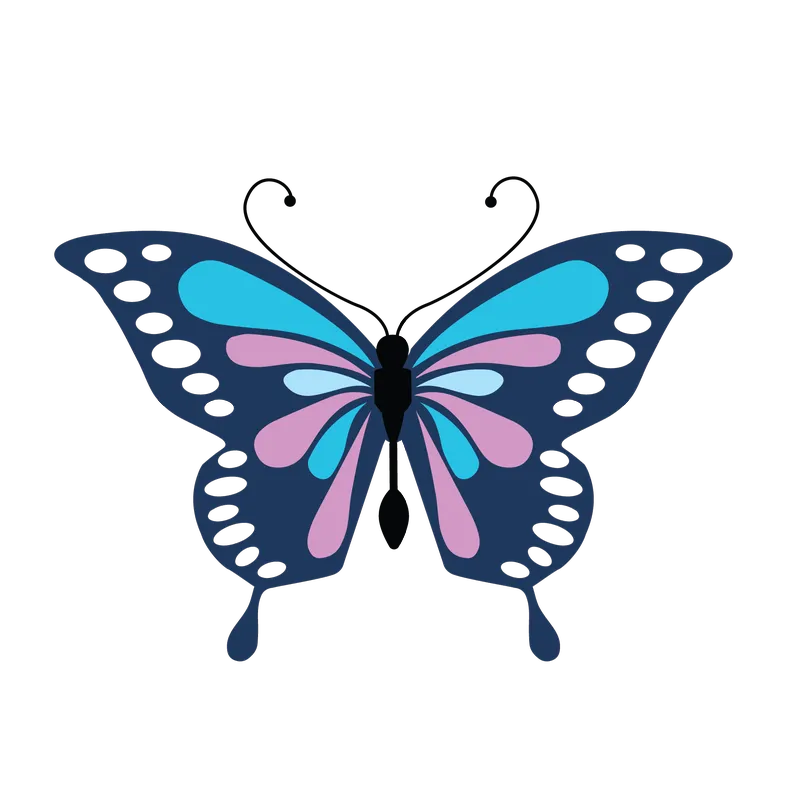 butterfly png, butterfly png