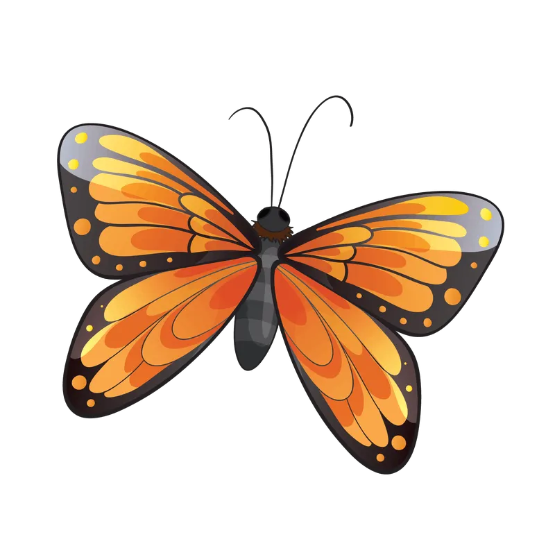 butterfly png, butterfly png