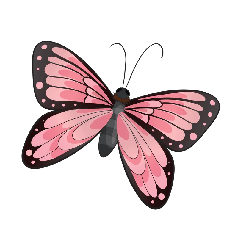 butterfly png, butterfly png