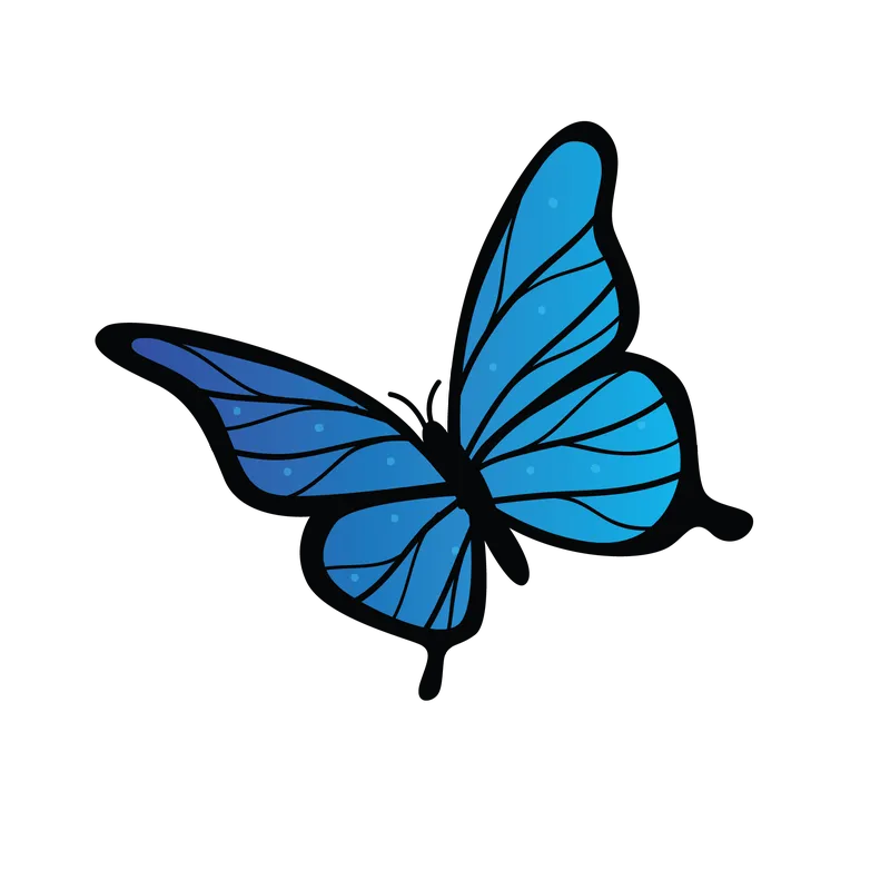 butterfly png, butterfly png