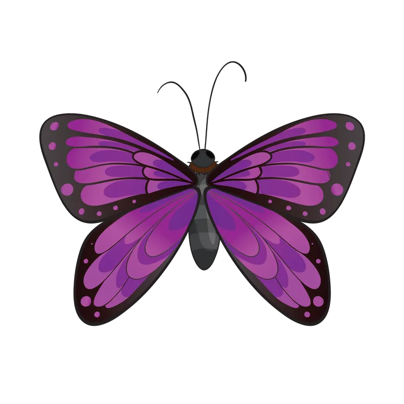 butterfly png, butterfly png