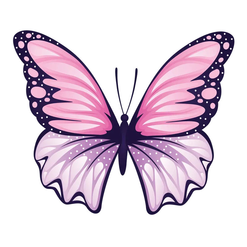 butterfly png, butterfly png