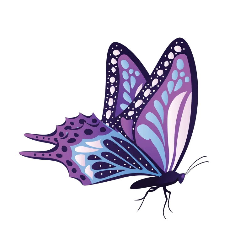 butterfly png, butterfly png