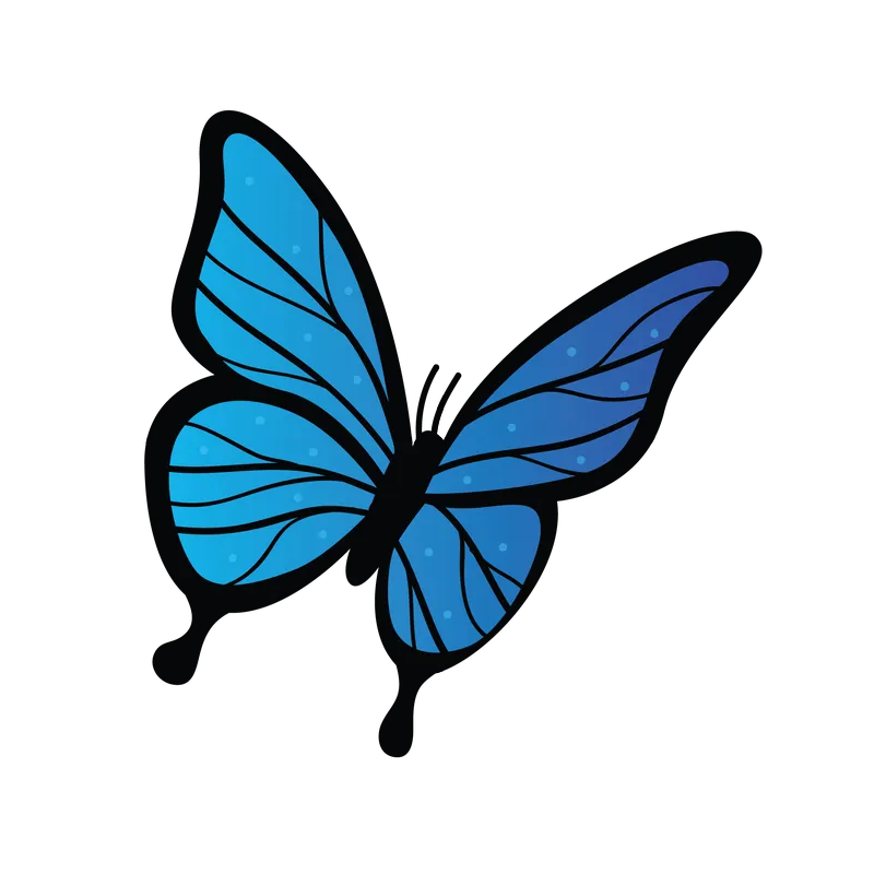 butterfly png, butterfly png
