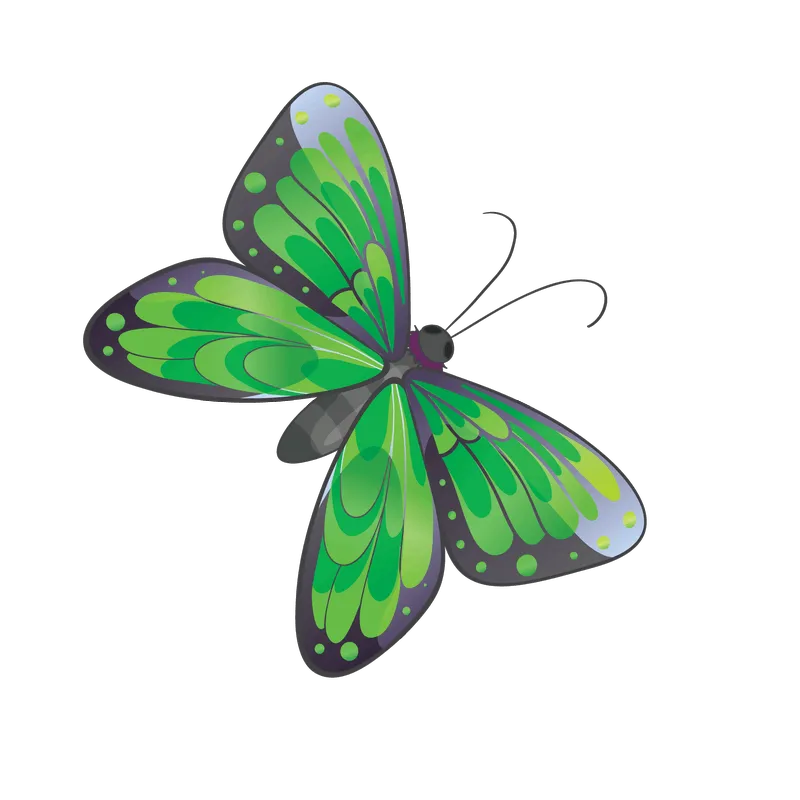 butterfly png, butterfly png