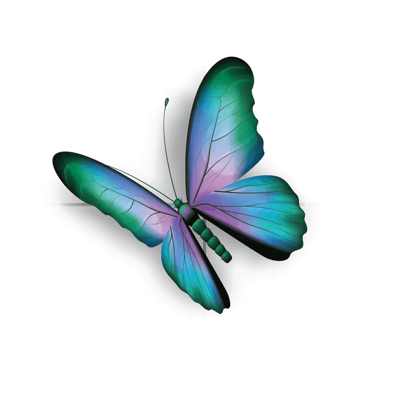 butterfly png, butterfly png