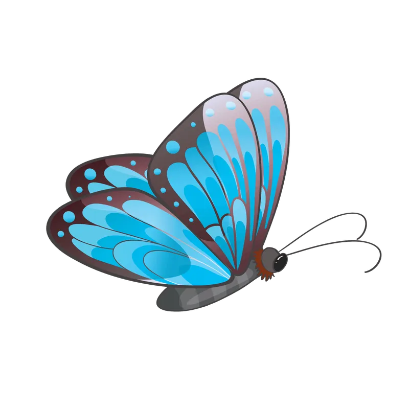 butterfly png, butterfly png